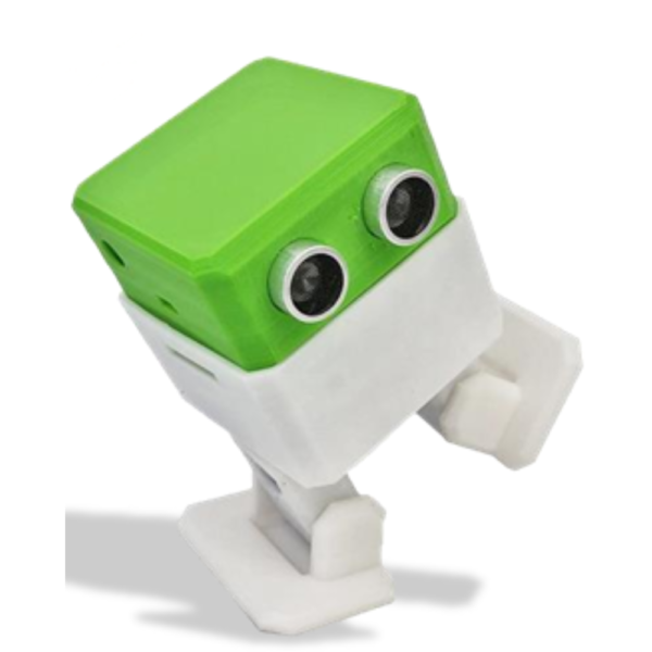 3d Printed Biped  Robot