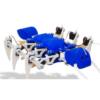 Robotic Ant (Acrylic)