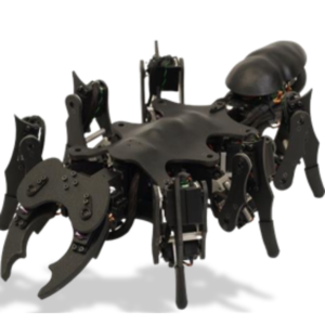 Robotic Ant (Metal)