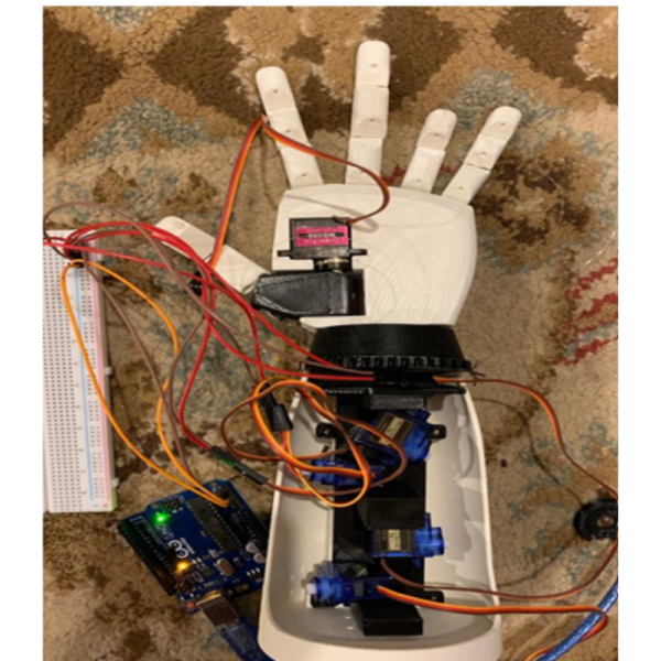 Robotic Hand