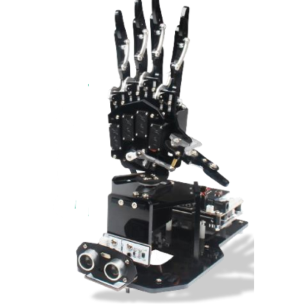 Robotic Palm