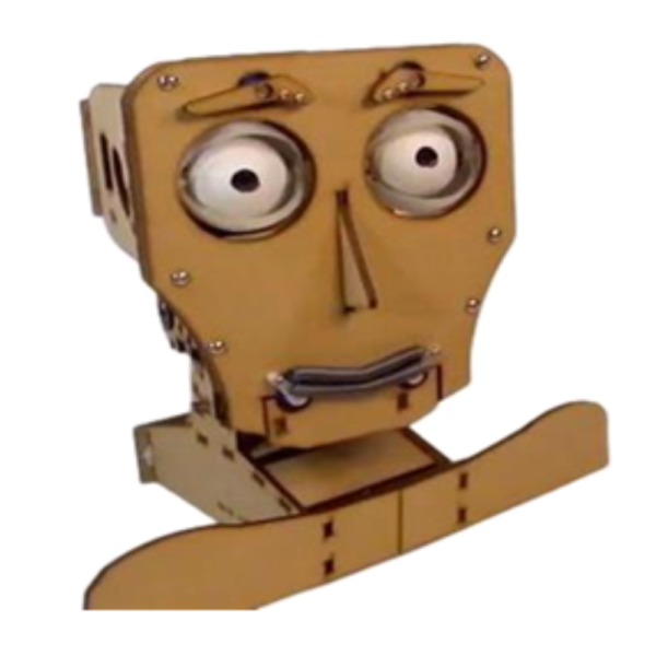 Robotic Face