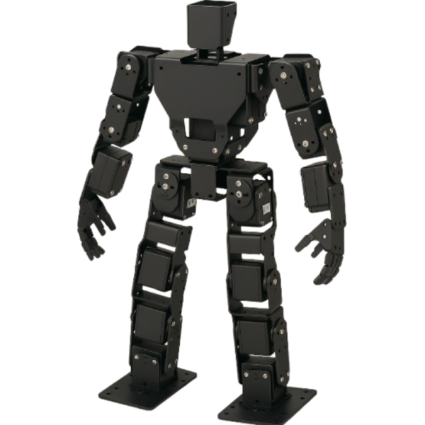 17 DOF Humanoid Robot