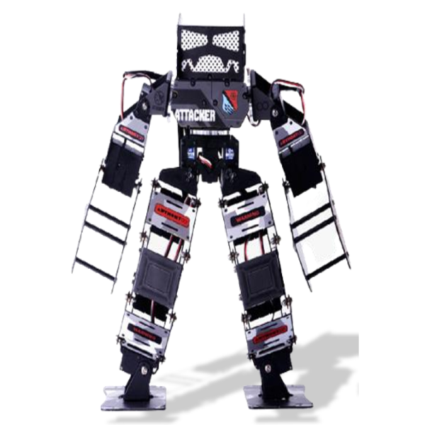 Fighting Robot