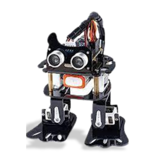 Acrylic Biped Robot